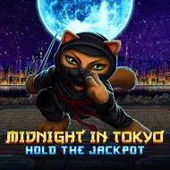 Midnight in Tokyo игра