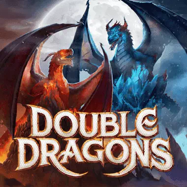 Double Dragons logo